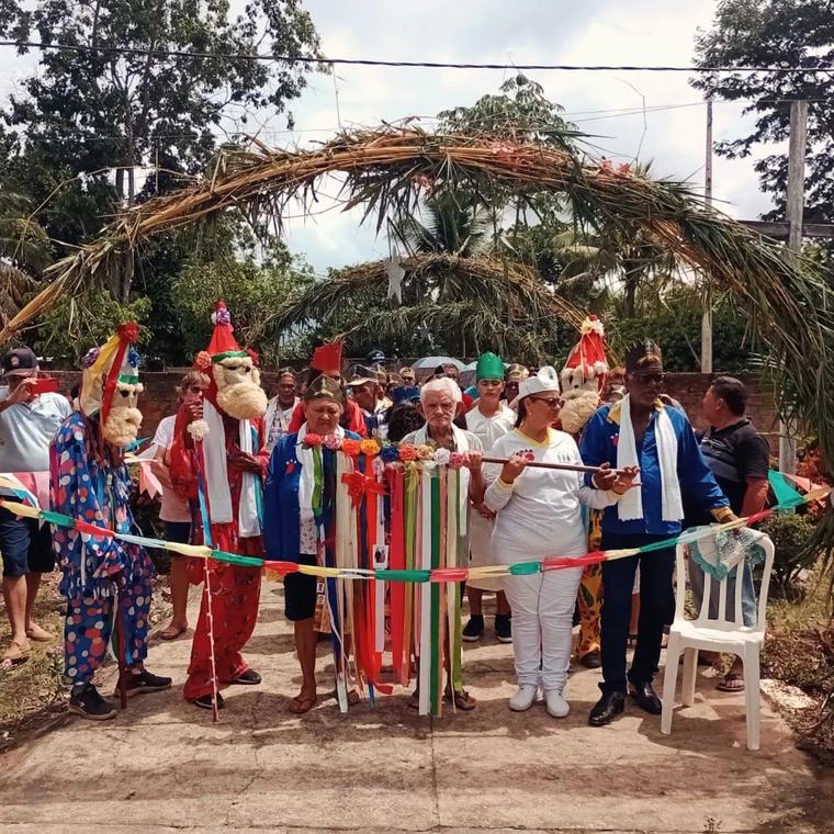 Foliões e palhaços da Companhia de Santos Reis sob um arco enfeitado com folhas de palmeira.